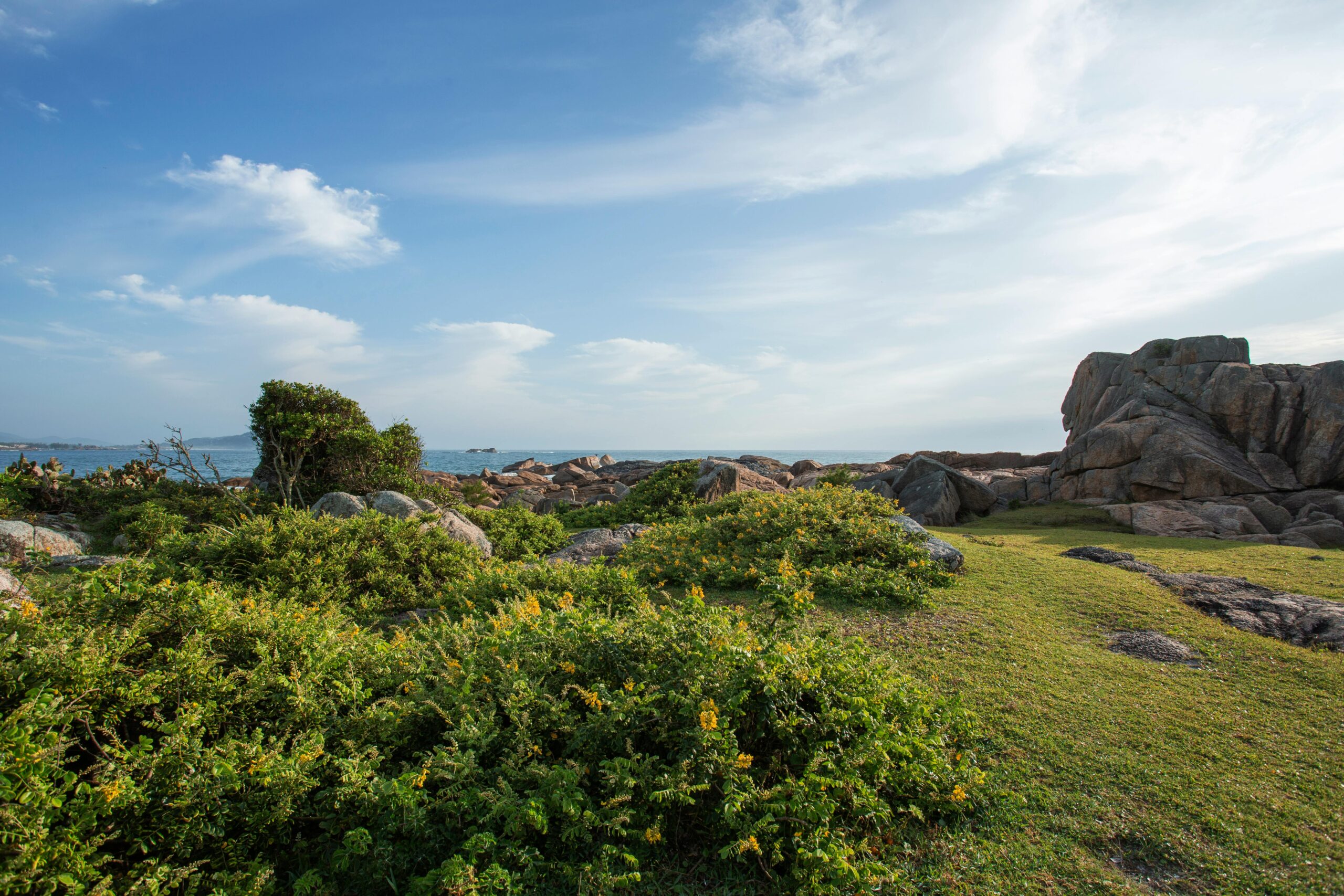 Explore the lush coastal scenery with rocks and greenery in Ibiraquera, Brazil.