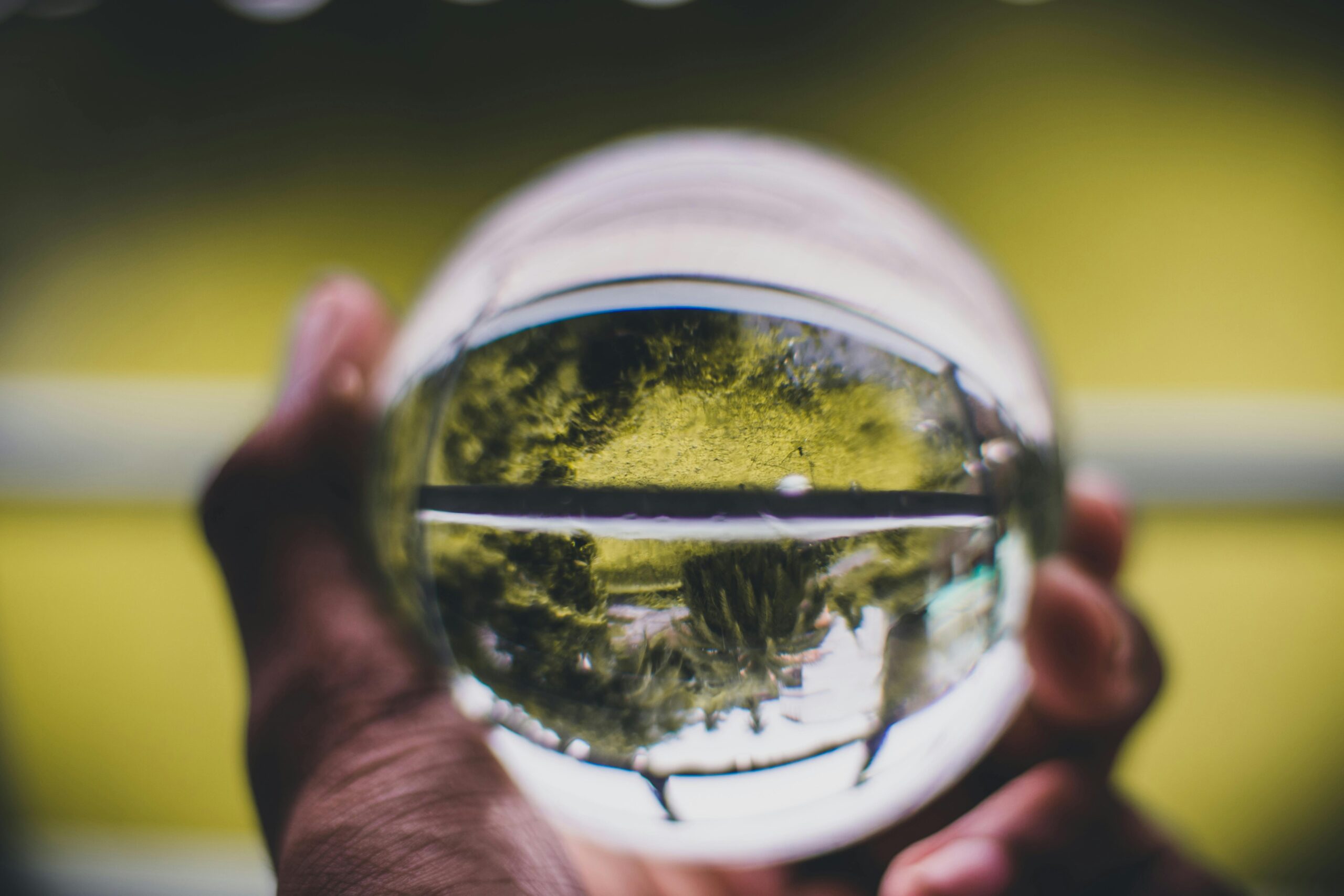 A hand holding a crystal ball reflecting a vibrant green landscape outdoors.